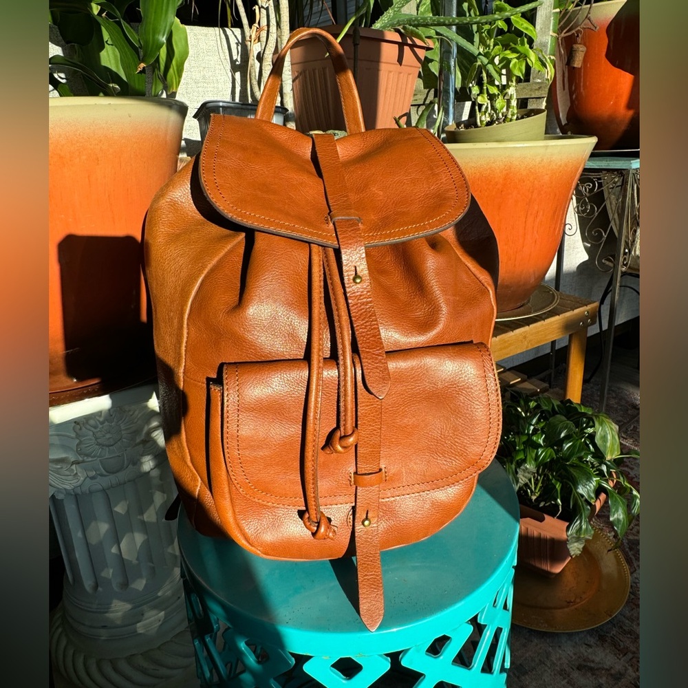 Madewell Transport Rucksack Backpack Leather Luggage Color